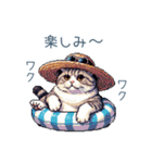 毎日使える夏のねこちゃん【連絡】（個別スタンプ：19）
