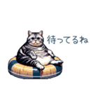 毎日使える夏のねこちゃん【連絡】（個別スタンプ：21）