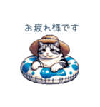 毎日使える夏のねこちゃん【連絡】（個別スタンプ：22）