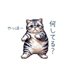 毎日使える夏のねこちゃん【連絡】（個別スタンプ：23）