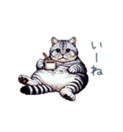 毎日使える夏のねこちゃん【連絡】（個別スタンプ：26）