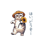 毎日使える夏のねこちゃん【連絡】（個別スタンプ：28）