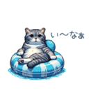 毎日使える夏のねこちゃん【連絡】（個別スタンプ：29）
