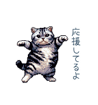 毎日使える夏のねこちゃん【連絡】（個別スタンプ：31）