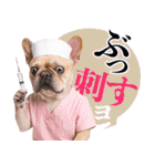 フレンチなブルさん2（個別スタンプ：17）