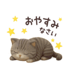 【3D】ネコ バラエティパック（個別スタンプ：12）
