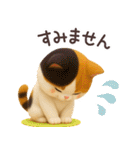【3D】ネコ バラエティパック（個別スタンプ：25）