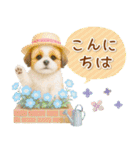 癒しシーズーの「夏」の毎日（個別スタンプ：3）