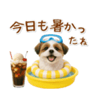 癒しシーズーの「夏」の毎日（個別スタンプ：10）