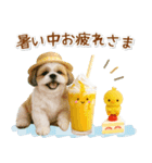 癒しシーズーの「夏」の毎日（個別スタンプ：12）