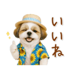 癒しシーズーの「夏」の毎日（個別スタンプ：21）