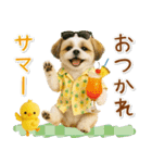 癒しシーズーの「夏」の毎日（個別スタンプ：30）