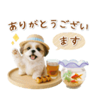 癒しシーズーの「夏」の毎日（個別スタンプ：33）