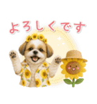 癒しシーズーの「夏」の毎日（個別スタンプ：35）