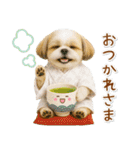 癒しシーズーの「夏」の毎日（個別スタンプ：36）