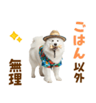 もふっとサモエド★夏スタンプ（個別スタンプ：13）