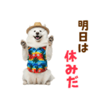 もふっとサモエド★夏スタンプ（個別スタンプ：31）