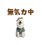 もふっとサモエド★夏スタンプ（個別スタンプ：32）