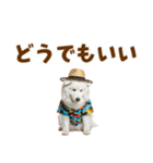 もふっとサモエド★夏スタンプ（個別スタンプ：37）
