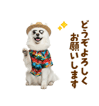 もふっとサモエド★夏スタンプ（個別スタンプ：39）