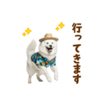 もふっとサモエド★夏スタンプ（個別スタンプ：40）