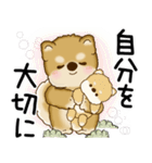 柴犬 2025 「悟りました」（個別スタンプ：1）