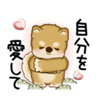 柴犬 2025 「悟りました」（個別スタンプ：2）