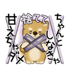 柴犬 2025 「悟りました」（個別スタンプ：6）