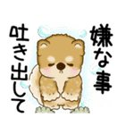 柴犬 2025 「悟りました」（個別スタンプ：7）