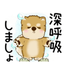 柴犬 2025 「悟りました」（個別スタンプ：8）
