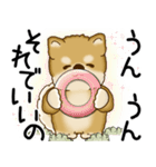 柴犬 2025 「悟りました」（個別スタンプ：9）