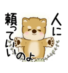 柴犬 2025 「悟りました」（個別スタンプ：10）
