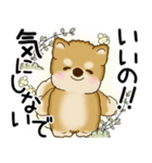柴犬 2025 「悟りました」（個別スタンプ：11）