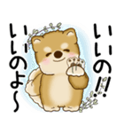 柴犬 2025 「悟りました」（個別スタンプ：12）