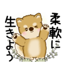 柴犬 2025 「悟りました」（個別スタンプ：13）