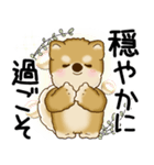 柴犬 2025 「悟りました」（個別スタンプ：14）