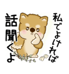 柴犬 2025 「悟りました」（個別スタンプ：15）