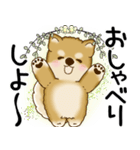 柴犬 2025 「悟りました」（個別スタンプ：16）