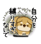 柴犬 2025 「悟りました」（個別スタンプ：18）