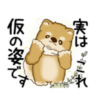 柴犬 2025 「悟りました」（個別スタンプ：21）