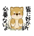 柴犬 2025 「悟りました」（個別スタンプ：23）