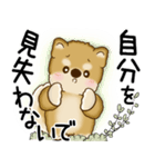 柴犬 2025 「悟りました」（個別スタンプ：24）