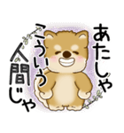 柴犬 2025 「悟りました」（個別スタンプ：25）