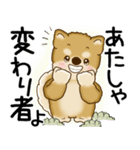 柴犬 2025 「悟りました」（個別スタンプ：26）