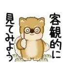 柴犬 2025 「悟りました」（個別スタンプ：27）