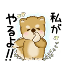 柴犬 2025 「悟りました」（個別スタンプ：29）