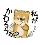 柴犬 2025 「悟りました」（個別スタンプ：30）
