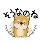 柴犬 2025 「悟りました」（個別スタンプ：33）