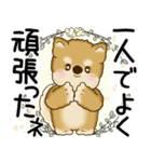 柴犬 2025 「悟りました」（個別スタンプ：34）