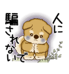 柴犬 2025 「悟りました」（個別スタンプ：35）